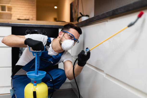 Trusted Verdi, NV Pest Control Experts