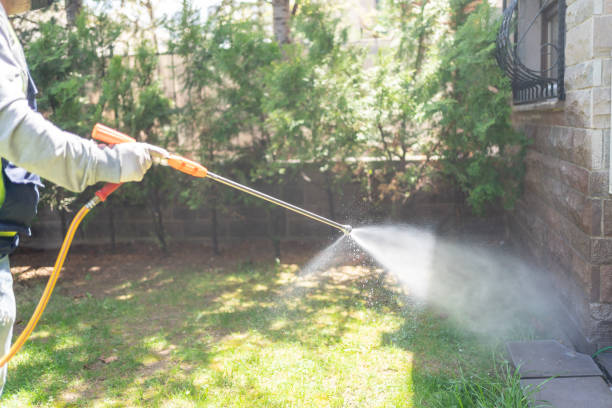 Best Pest Control for Homes  in Verdi, NV